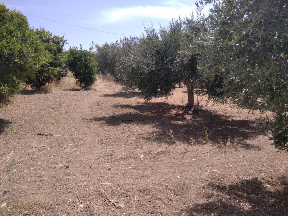Capinera Bed & Breakfast Agrigento Dış mekan fotoğraf