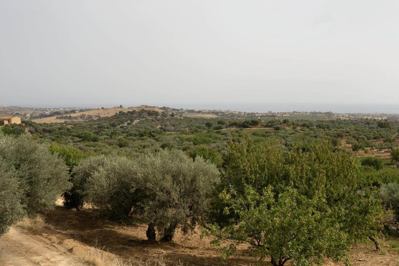 Capinera Bed & Breakfast Agrigento Dış mekan fotoğraf
